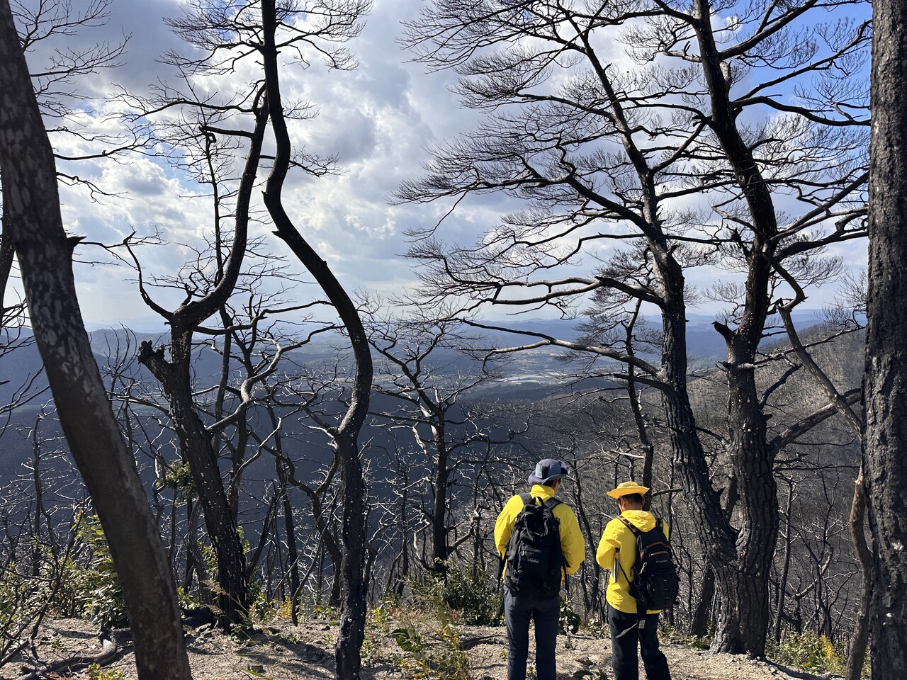 11월2일 그린피스는 연구진과 경북 의성 고운사 사찰림 식생조사에 나섰다. ⓒ그린피스