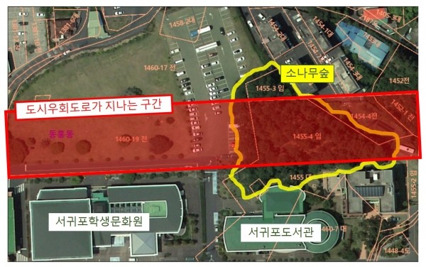 서귀포시 도시우회도로가 잔디광장, 솔숲과 겹치는 구간. ⓒ 〈미디어제주〉 김은애